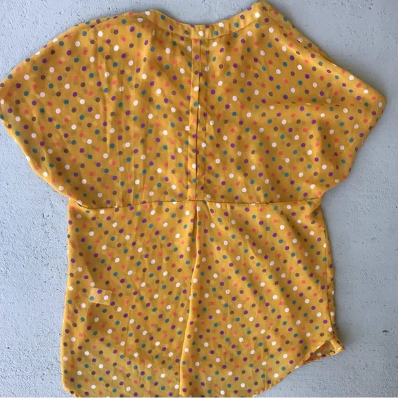 PLEIONE Pintucked Pleated Multicolor Polka Dot Pullover Cap Sleeve Sheer Blouse - Picture 4 of 4